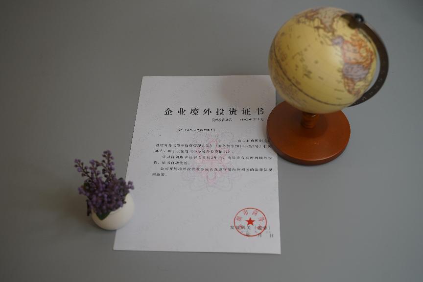企业境外投资