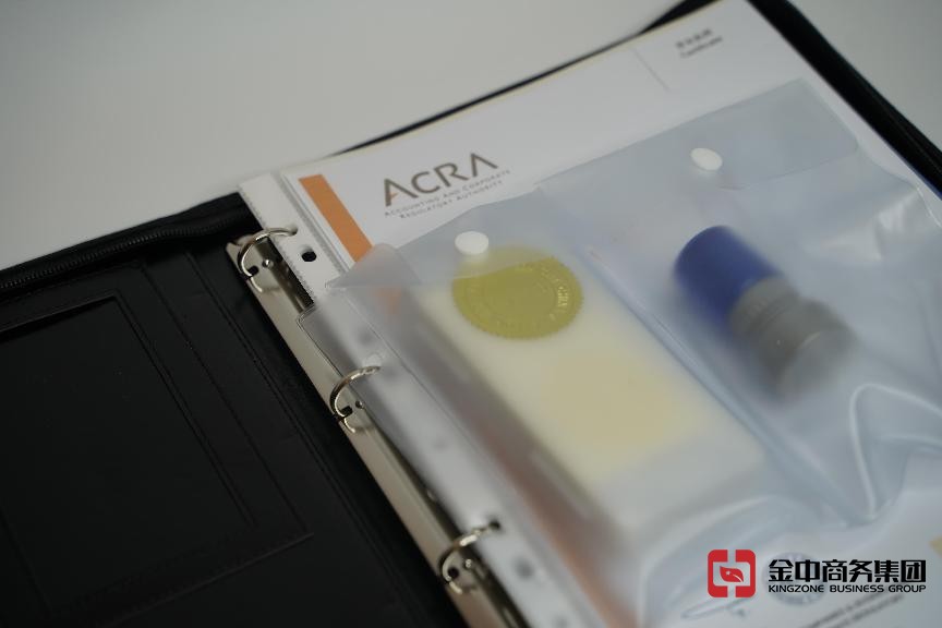 新加坡注册公司