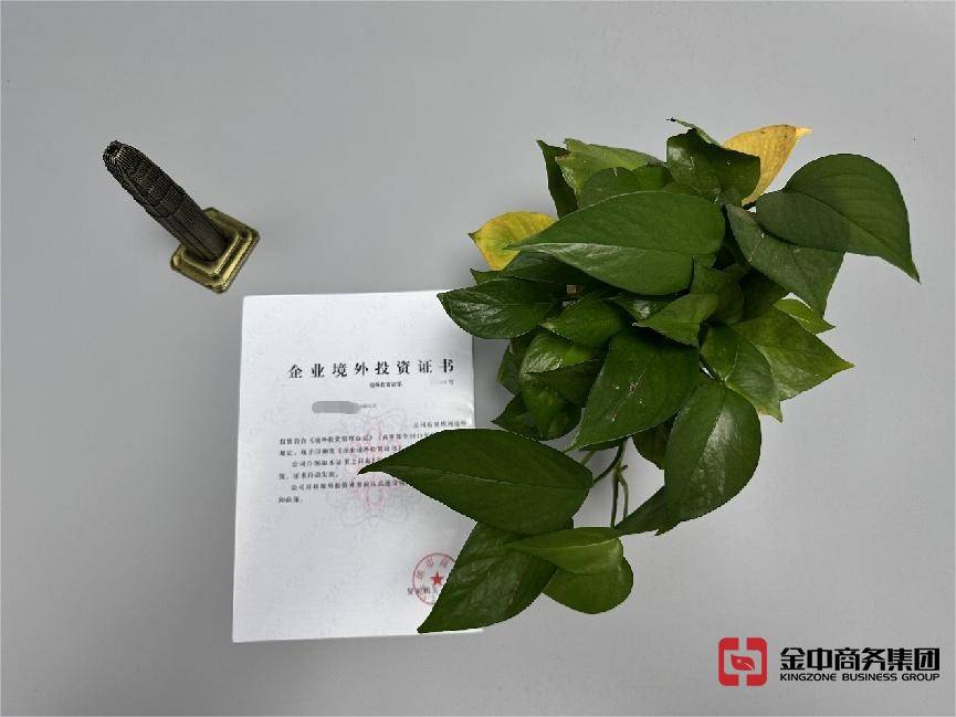 东南亚境外投资备案